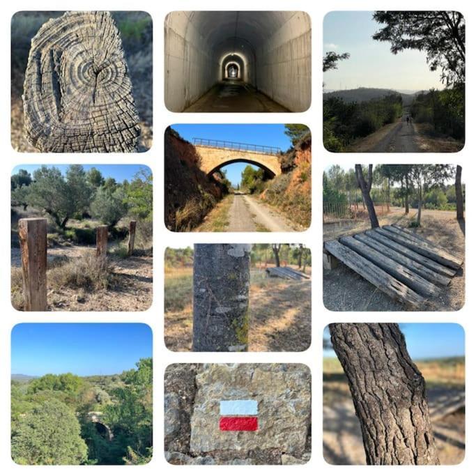 Apto. Rural Cielo. Al Lado Torre เฆริกา ภายนอก รูปภาพ