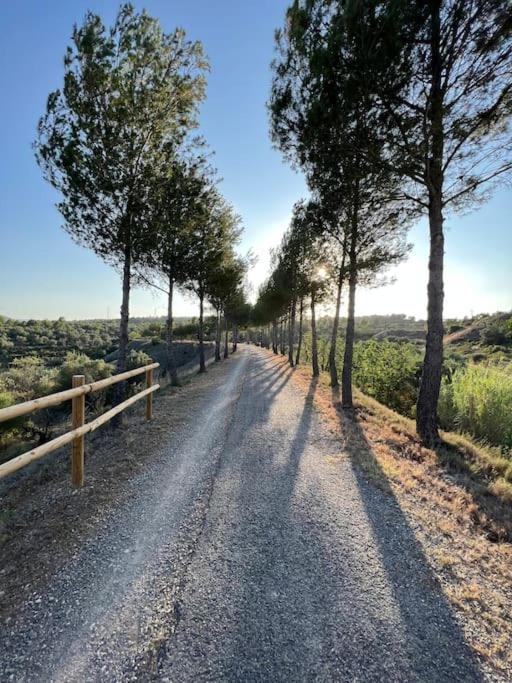 Apto. Rural Cielo. Al Lado Torre เฆริกา ภายนอก รูปภาพ